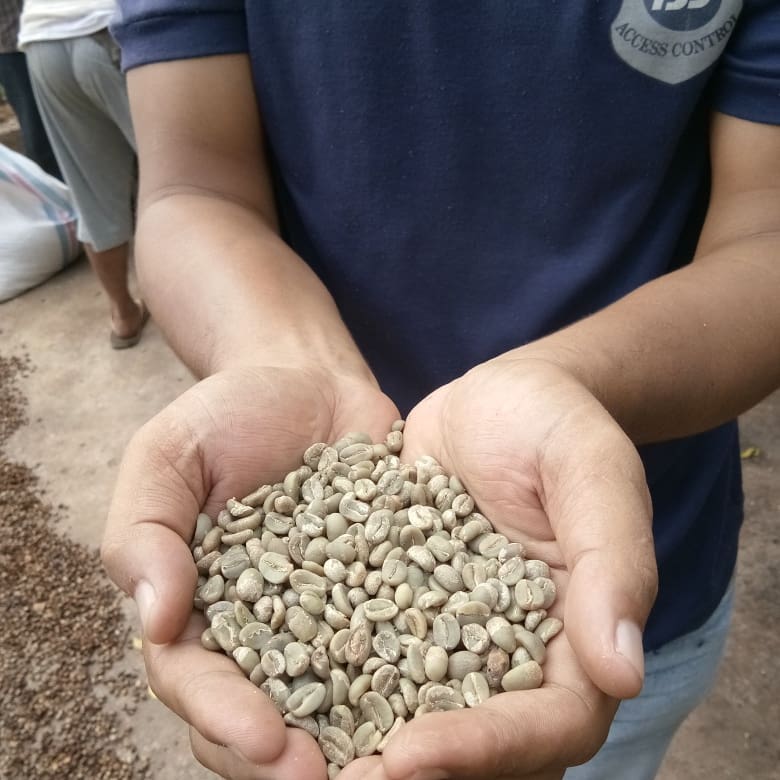 7 south coffee - Raw Coffee Product